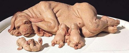 ''Os mutantes'' de Patricia Piccinini
